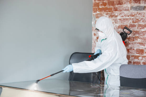 Mold Removal for HVAC Installations in Mahanoy City, PA